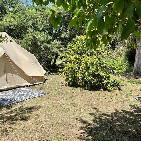 Giant Canvas Rental Tent Agro-Turismo Quinta Da Fonte フィゲイロー・ドス・ヴィーニョス エクステリア 写真