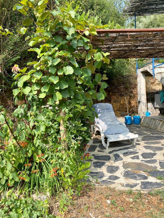 Giant Canvas Rental Tent Agro-Turismo Quinta Da Fonte フィゲイロー・ドス・ヴィーニョス エクステリア 写真