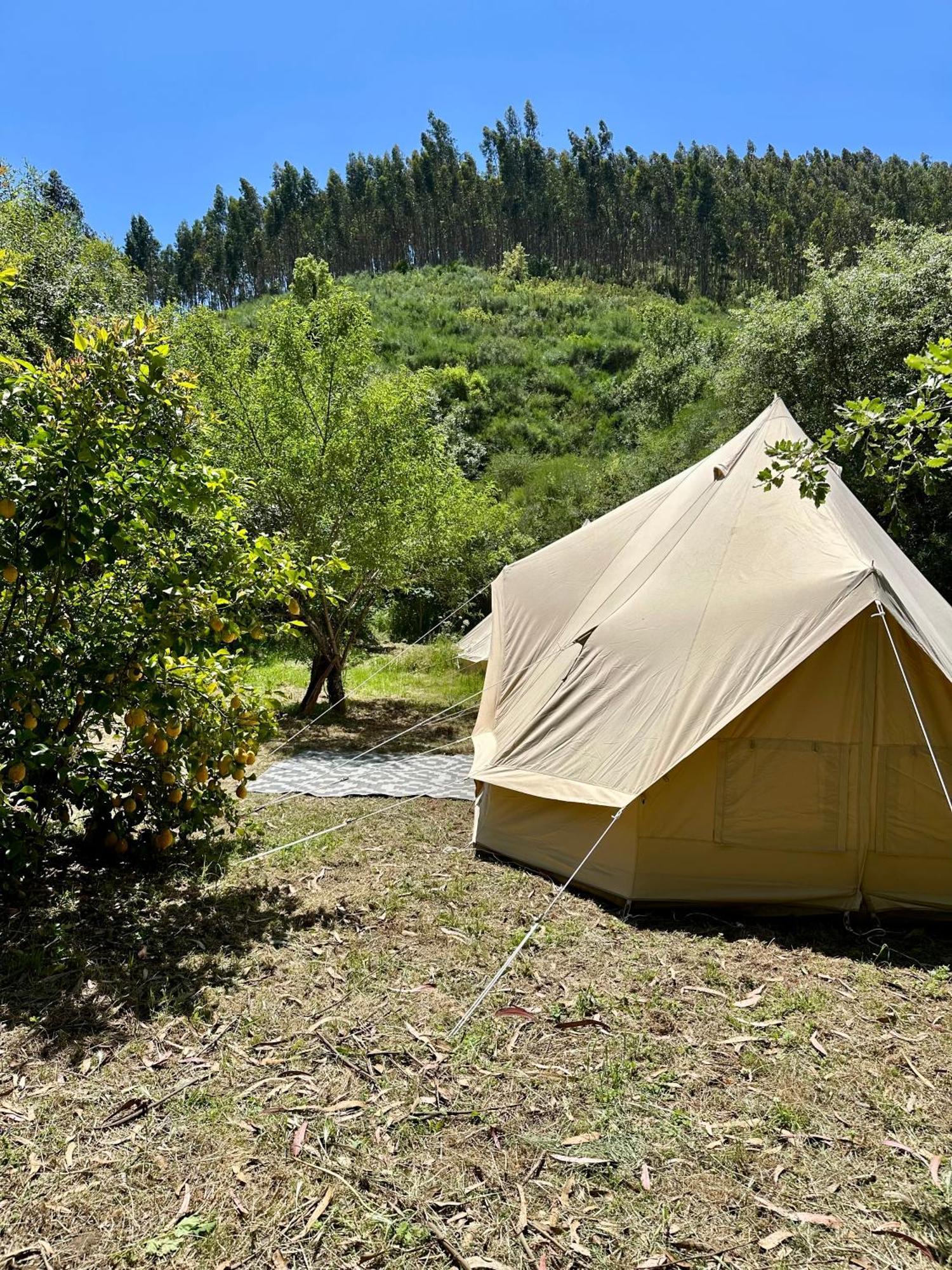 Giant Canvas Rental Tent Agro-Turismo Quinta Da Fonte フィゲイロー・ドス・ヴィーニョス エクステリア 写真