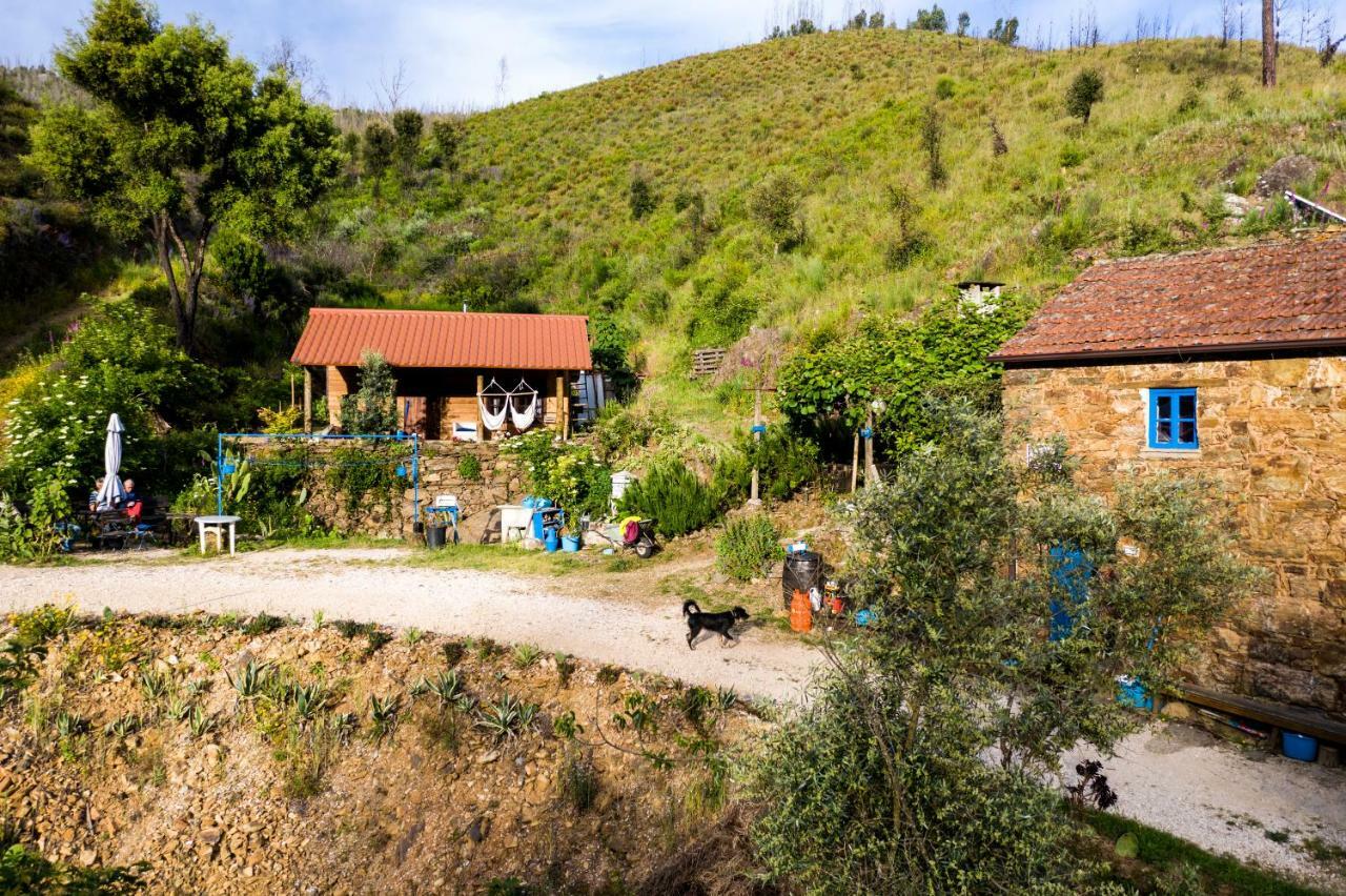Giant Canvas Rental Tent Agro-Turismo Quinta Da Fonte フィゲイロー・ドス・ヴィーニョス エクステリア 写真