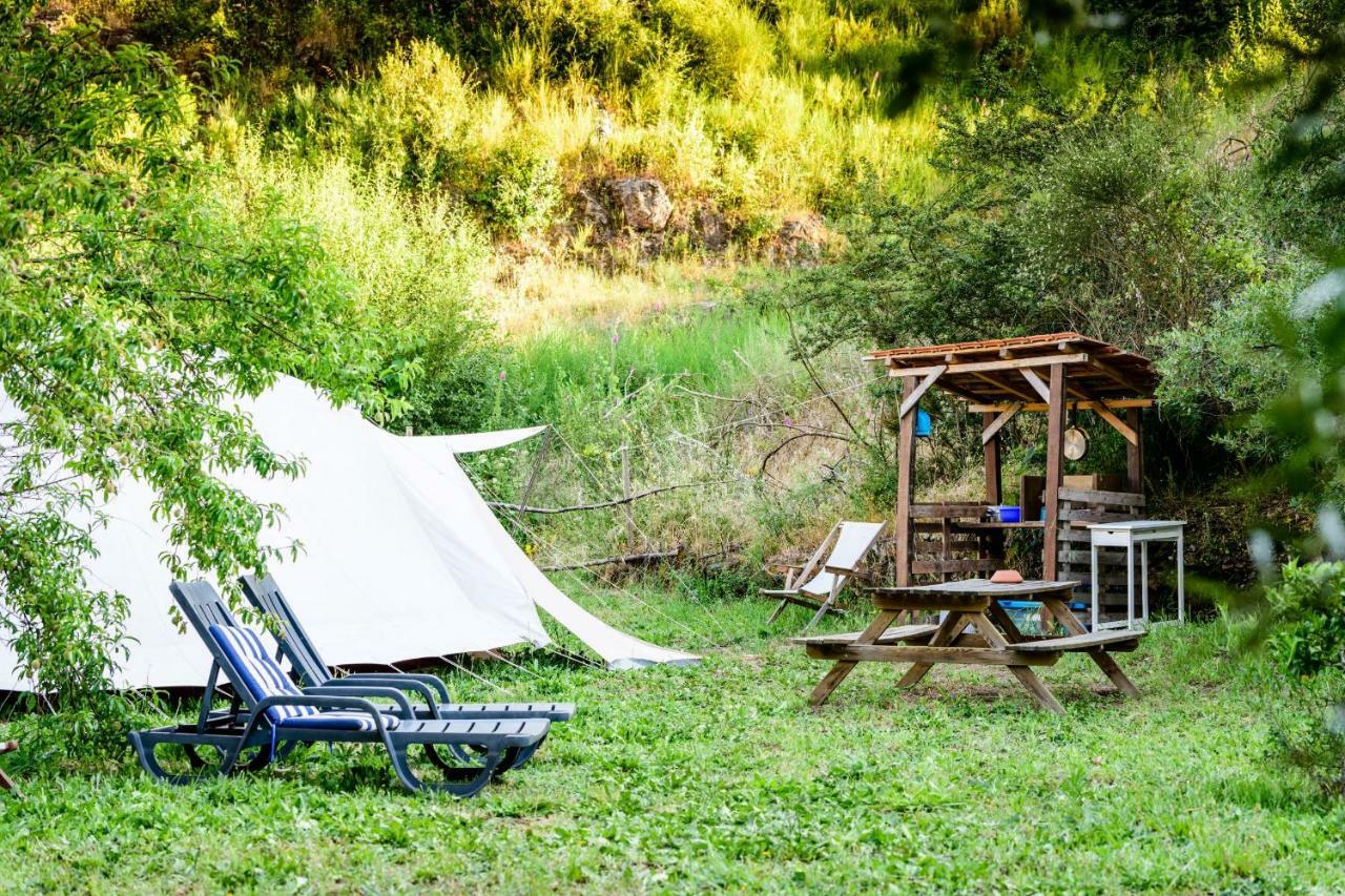 Giant Canvas Rental Tent Agro-Turismo Quinta Da Fonte フィゲイロー・ドス・ヴィーニョス エクステリア 写真