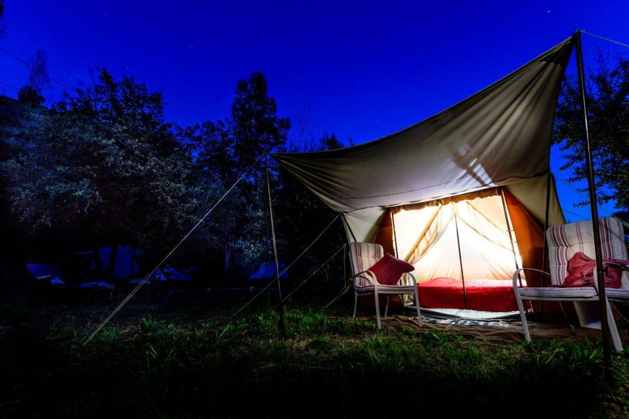 Giant Canvas Rental Tent Agro-Turismo Quinta Da Fonte フィゲイロー・ドス・ヴィーニョス エクステリア 写真